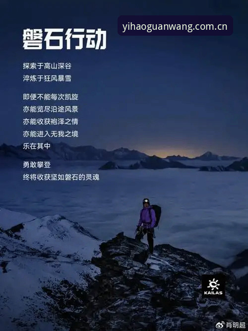 一位资深用户的壹号app2026新版体验：从下载到深度使用的真实感受